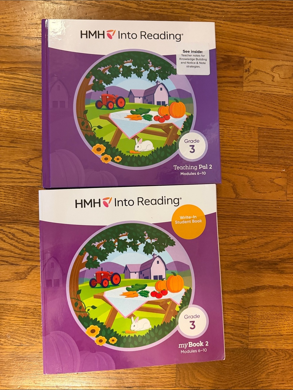 HMH Into Reading Grade 3  Teaching & Student Books (Set)